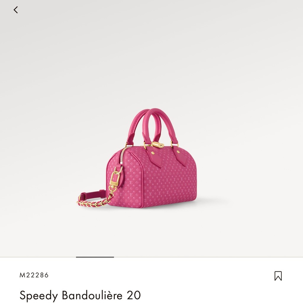 COPY - Louis Vuitton 2023 Speedy 30 Nano Rose